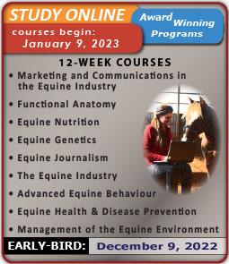 (button) Upcoming 12-Week Online-Courses Listing